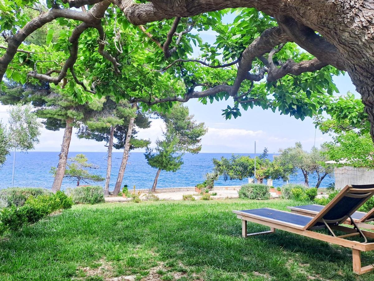 Nama Beach House Arkadiko Chorio Dış mekan fotoğraf