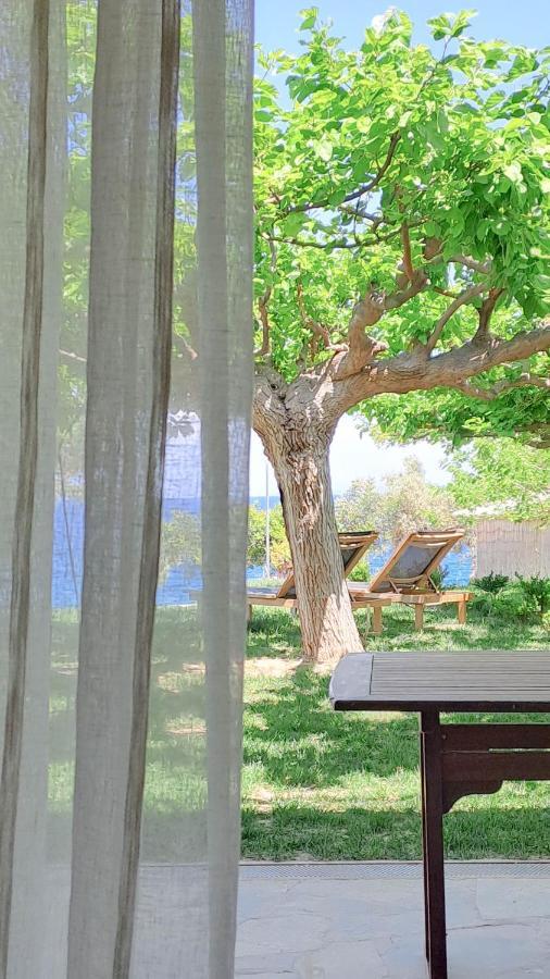 Nama Beach House Arkadiko Chorio Dış mekan fotoğraf