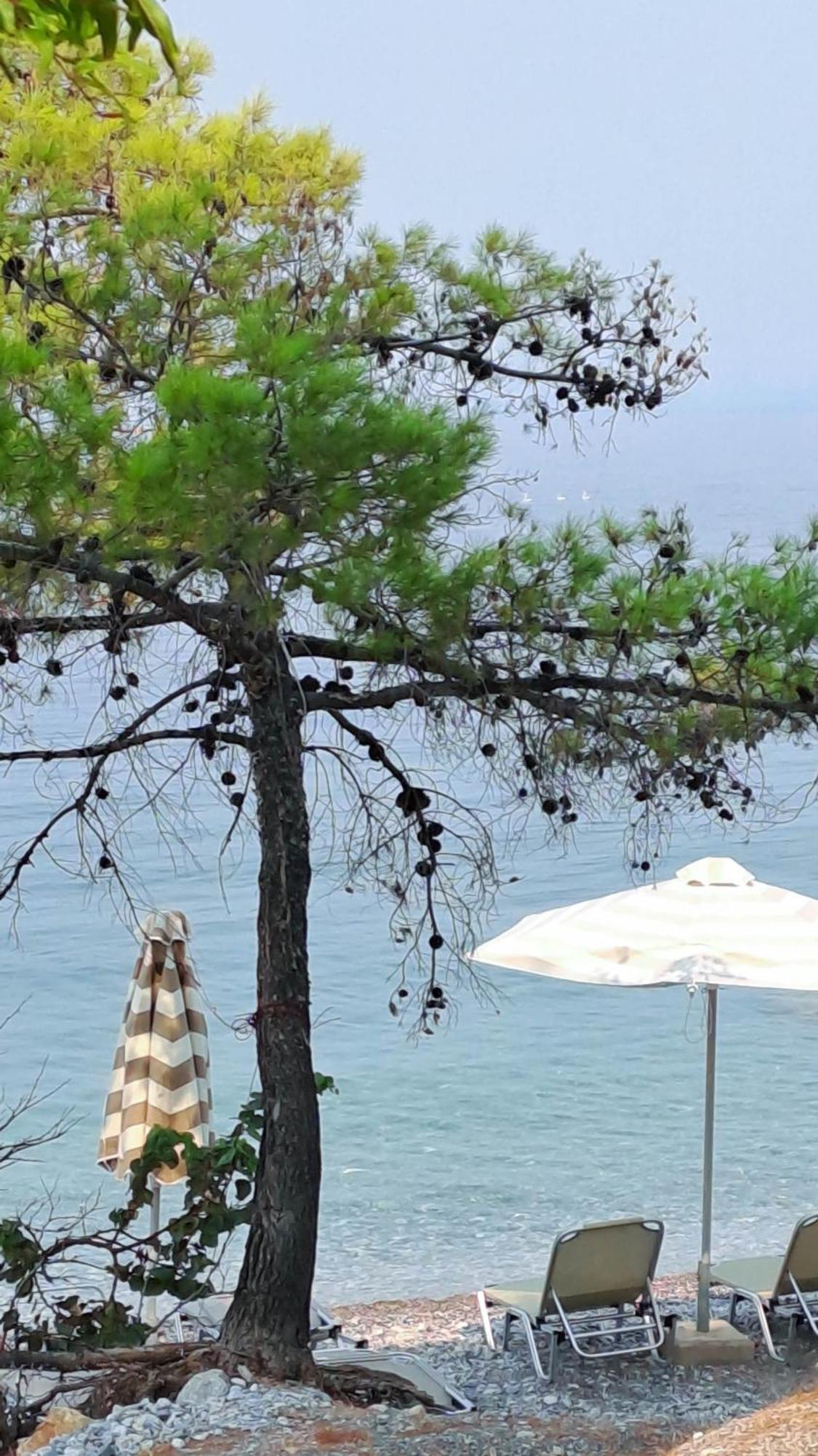 Nama Beach House Arkadiko Chorio Dış mekan fotoğraf