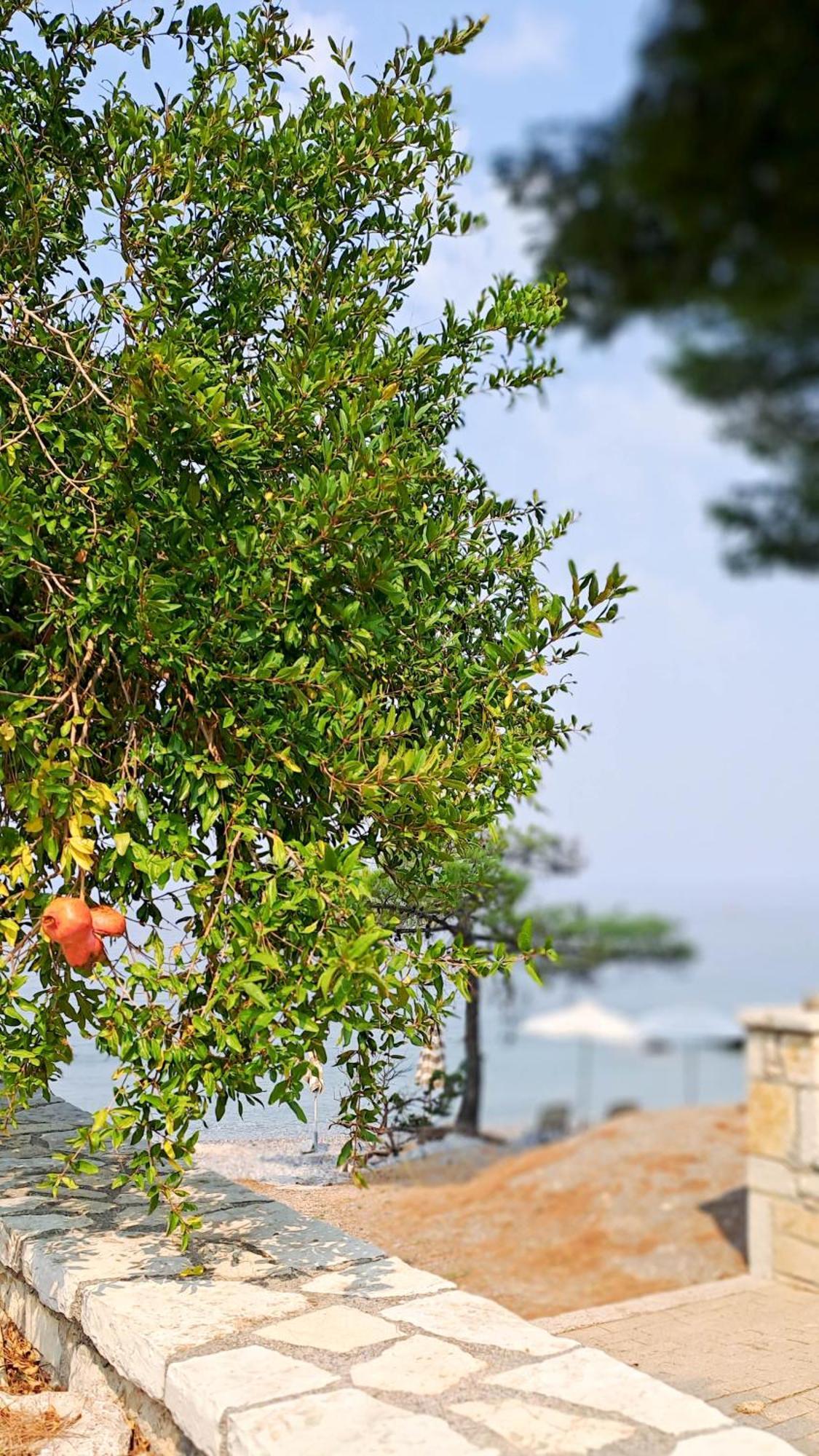 Nama Beach House Arkadiko Chorio Dış mekan fotoğraf